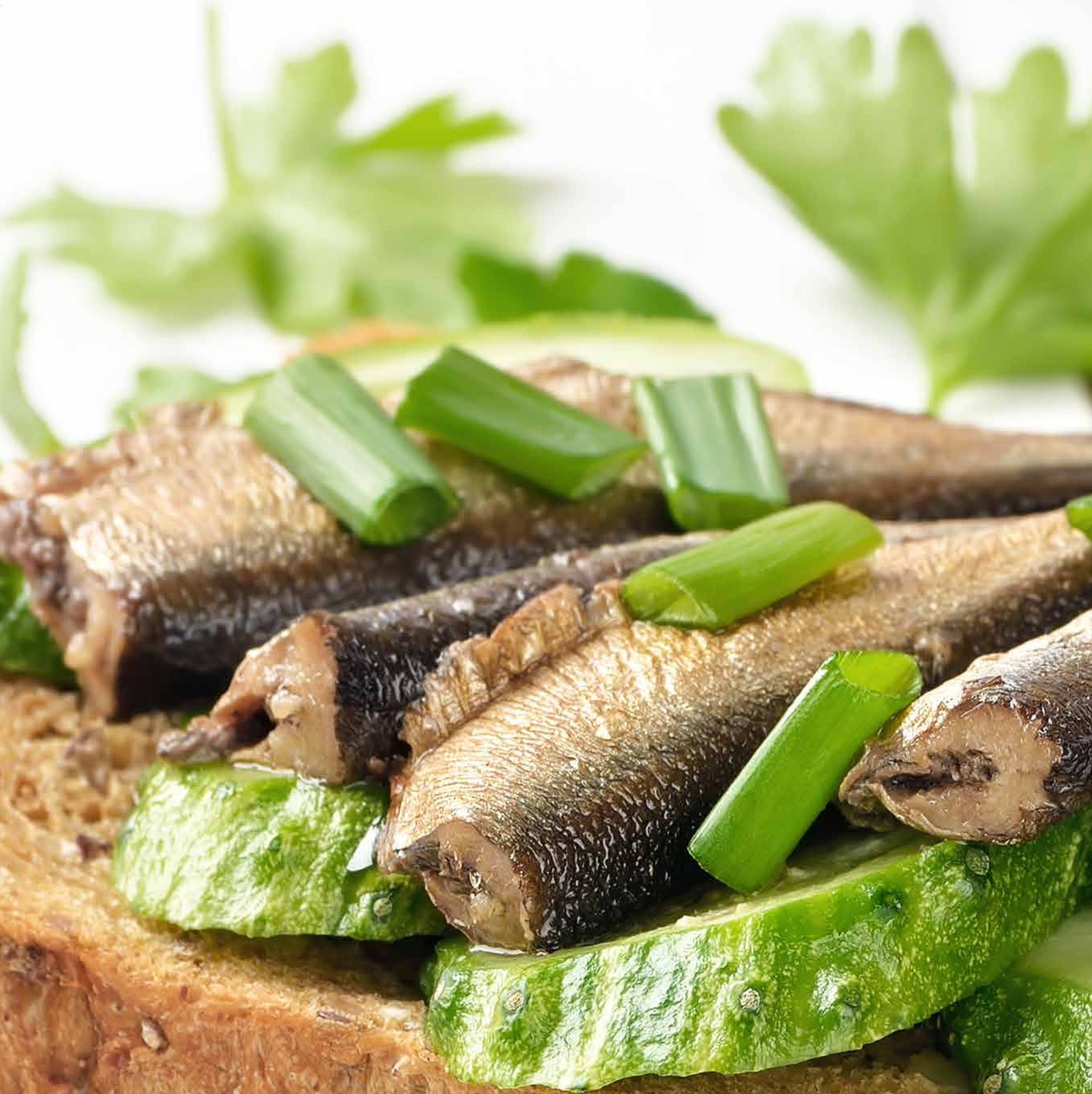 Canned sardines kingpelagique